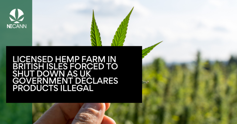 Licensed Hemp Farm in British Isles Forced to Shut Down as UK Government Declares Products Illegal