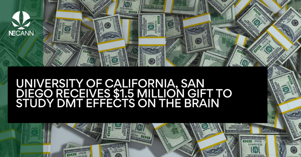 University of California, San Diego Receives $1.5 Million Gift to Study DMT Effects on the Brain