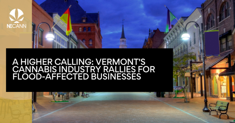 A Higher Calling Vermont's Cannabis Industry Rallies for Flood-Affected Businesses