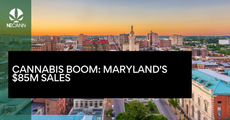 Cannabis Boom Maryland's $85M Sales