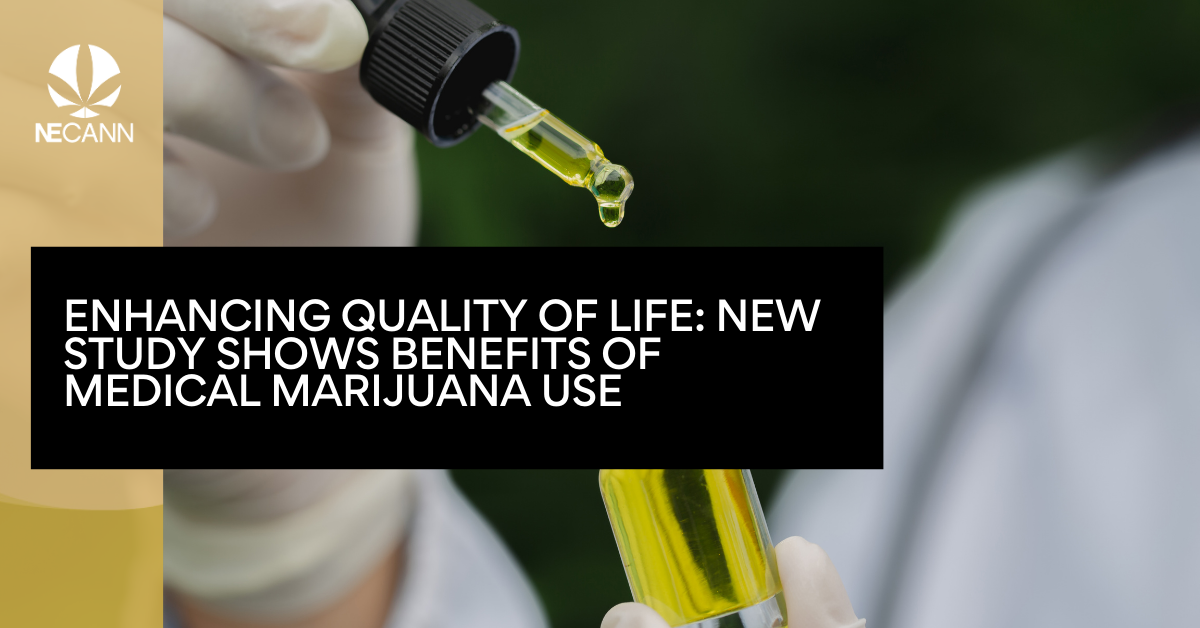 Medical Marijuana Empowers Lives: Positive Impact | NECANN