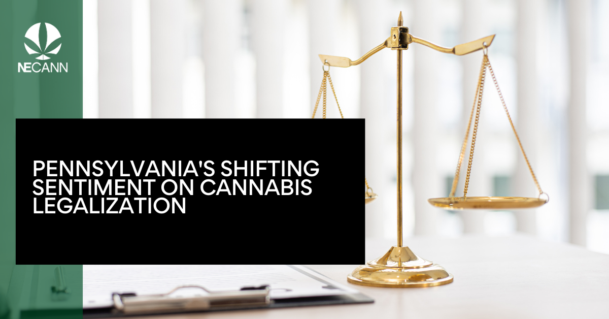 Decline In Pennsylvania S Cannabis Support NECANN   Pennsylvanias Shifting Sentiment On Cannabis Legalization 