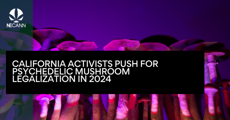 California Activists Push for Psychedelic Mushroom Legalization in 2024