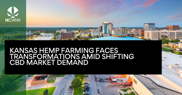 Kansas Hemp Farming Faces Transformations Amid Shifting CBD Market Demand