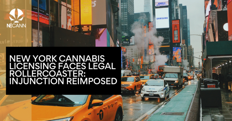 New York Cannabis Licensing Faces Legal Rollercoaster Injunction Reimposed