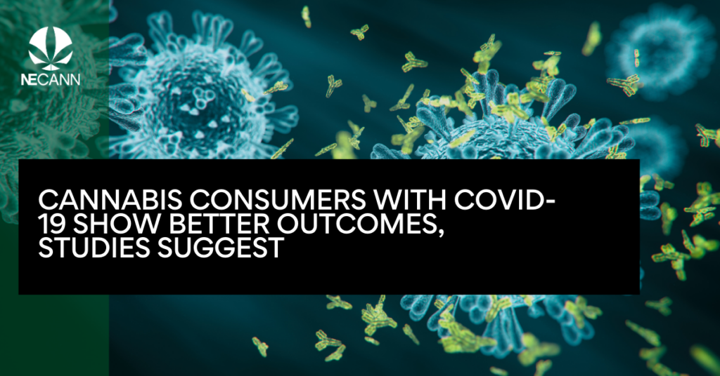 Cannabis Consumers With COVID-19 Show Better Outcomes, Studies Suggest