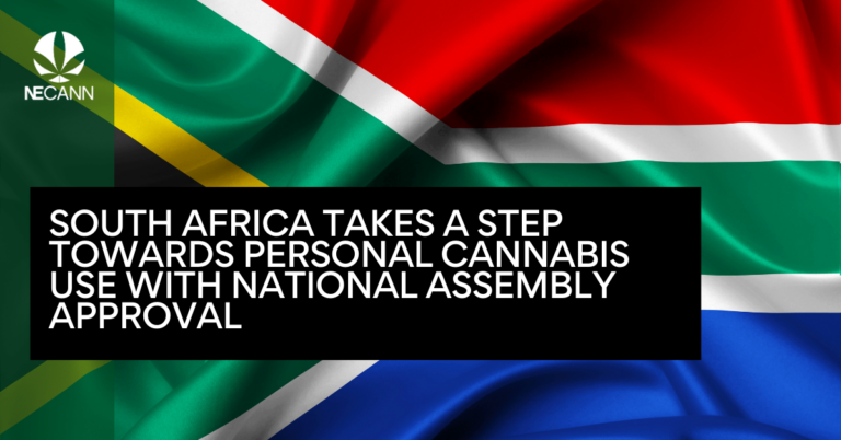 South Africa Takes a Step Towards Personal Cannabis Use with National Assembly Approval