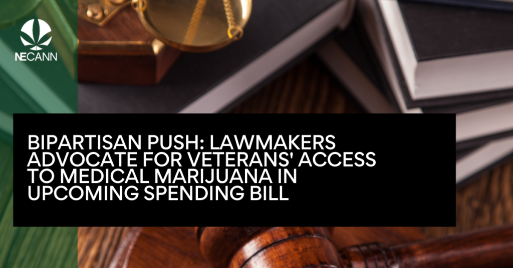 Bipartisan Push Lawmakers Advocate for Veterans' Access to Medical Marijuana in Upcoming Spending Bill