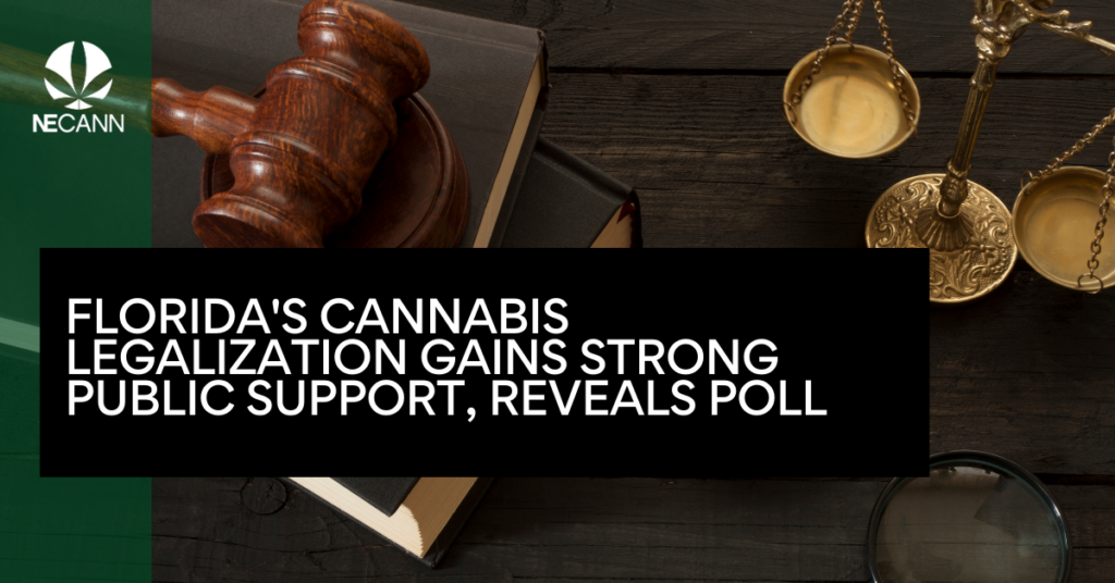 Florida's Cannabis Legalization Gains Strong Public Support, Reveals Poll