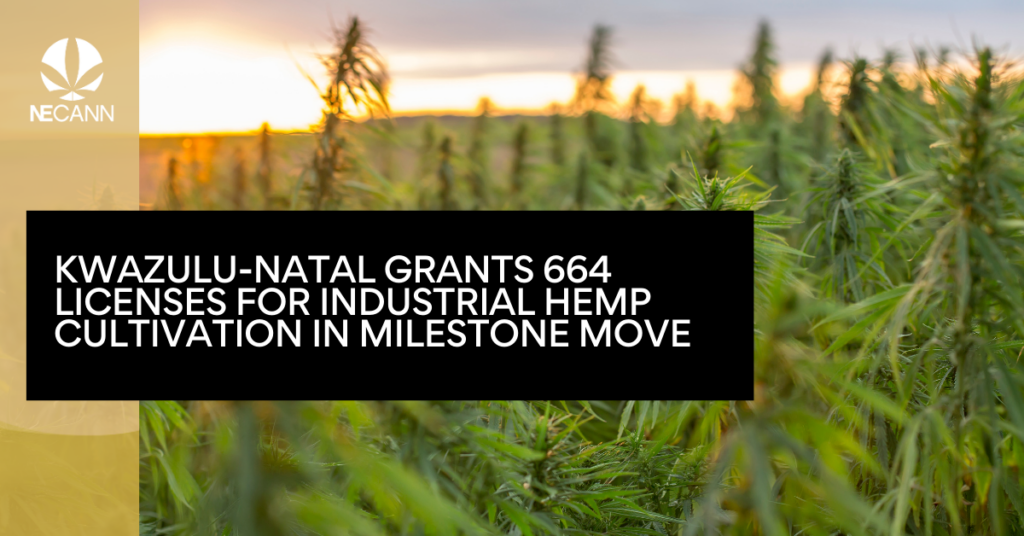 KwaZulu-Natal Grants 664 Licenses for Industrial Hemp Cultivation in Milestone Move