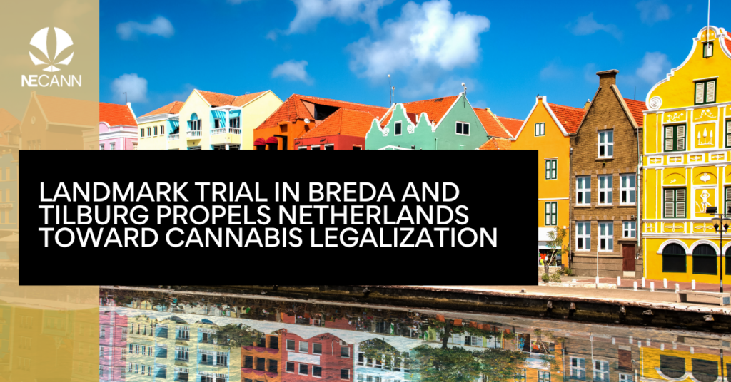 Landmark Trial in Breda and Tilburg Propels Netherlands Toward Cannabis Legalization