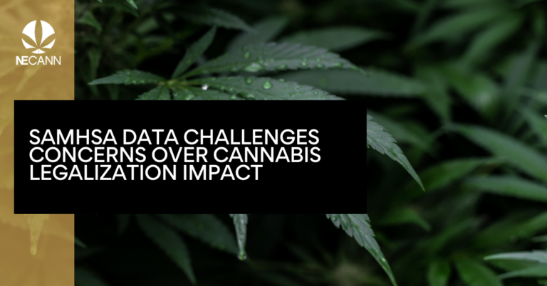 SAMHSA Data Challenges Concerns Over Cannabis Legalization Impact