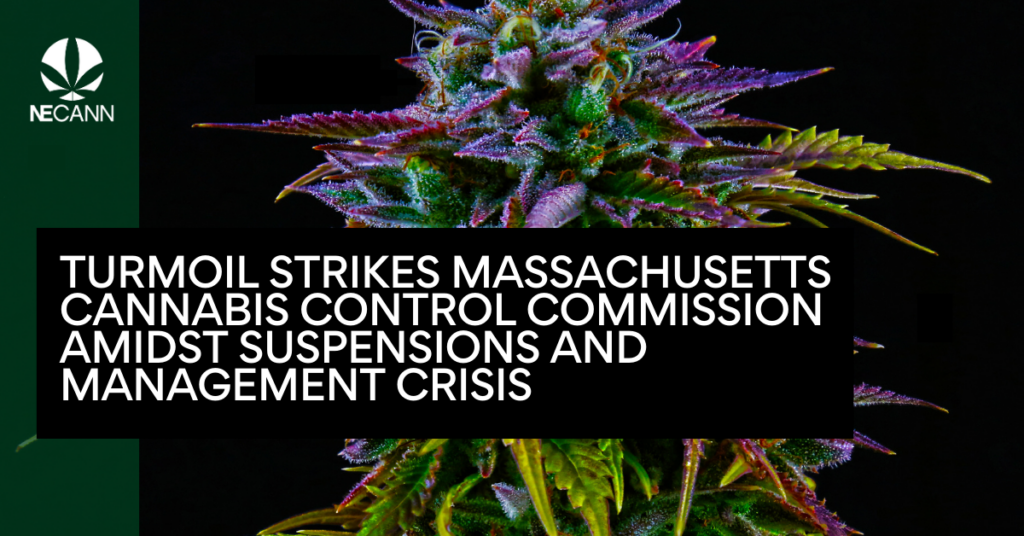 Turmoil Strikes Massachusetts Cannabis Control Commission Amidst Suspensions and Management Crisis
