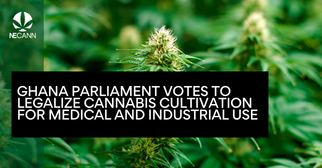 Ghana Parliament Votes to Legalize Cannabis Cultivation for Medical and Industrial Use