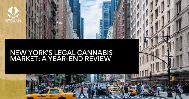 New York's Legal Cannabis Market A Year-End Review
