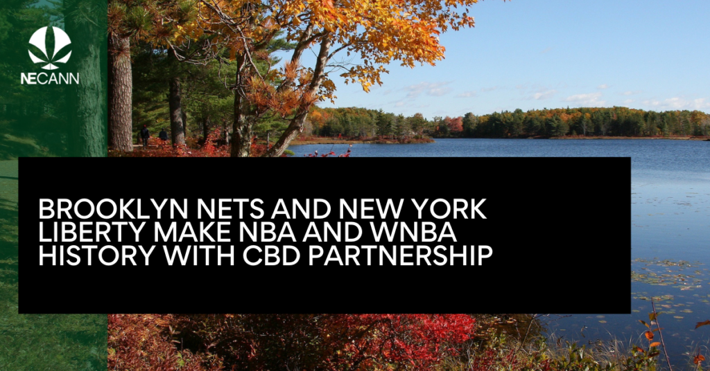 Brooklyn Nets and New York Liberty Make NBA and WNBA History with CBD Partnership