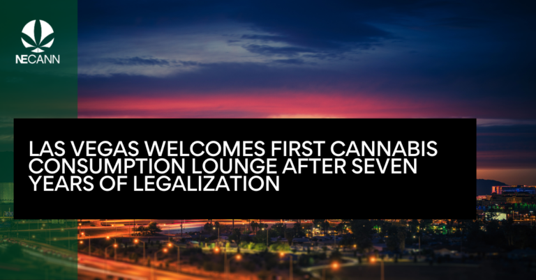 Las Vegas Welcomes First Cannabis Consumption Lounge After Seven Years of Legalization
