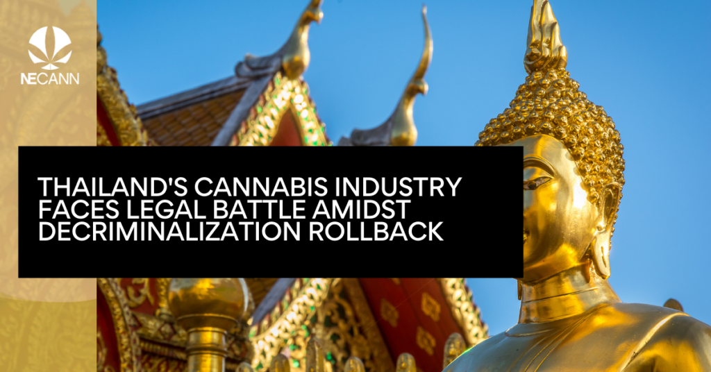 Thailand's Cannabis Industry Faces Legal Battle Amidst Decriminalization Rollback