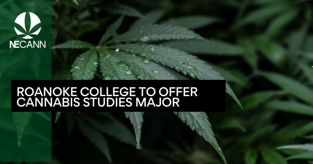 Roanoke College to Offer Cannabis Studies Major