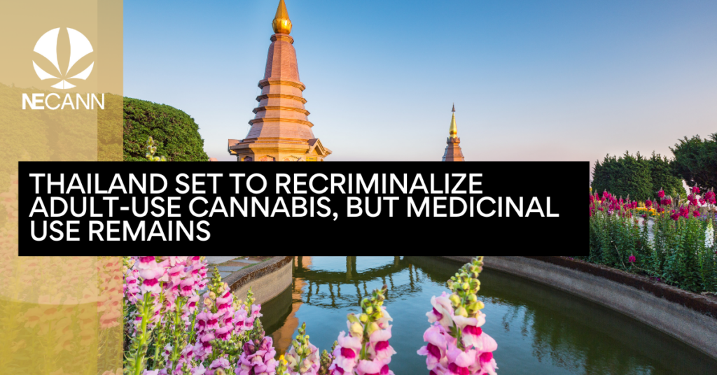 Thailand Set to Recriminalize Adult-Use Cannabis, But Medicinal Use Remains