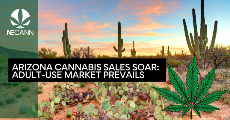 Arizona Cannabis Sales Soar Adult-Use Market Prevails