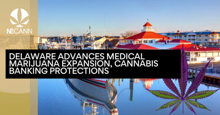 Delaware Advances Medical Marijuana Expansion, Cannabis Banking Protections