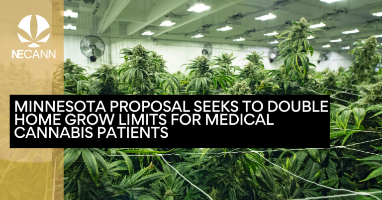 Minnesota Proposal Seeks to Double Home Grow Limits for Medical Cannabis Patients