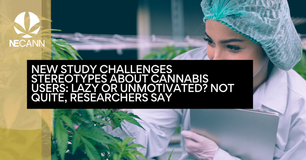 New Study Challenges Stereotypes About Cannabis Users Lazy or Unmotivated Not Quite, Researchers Say
