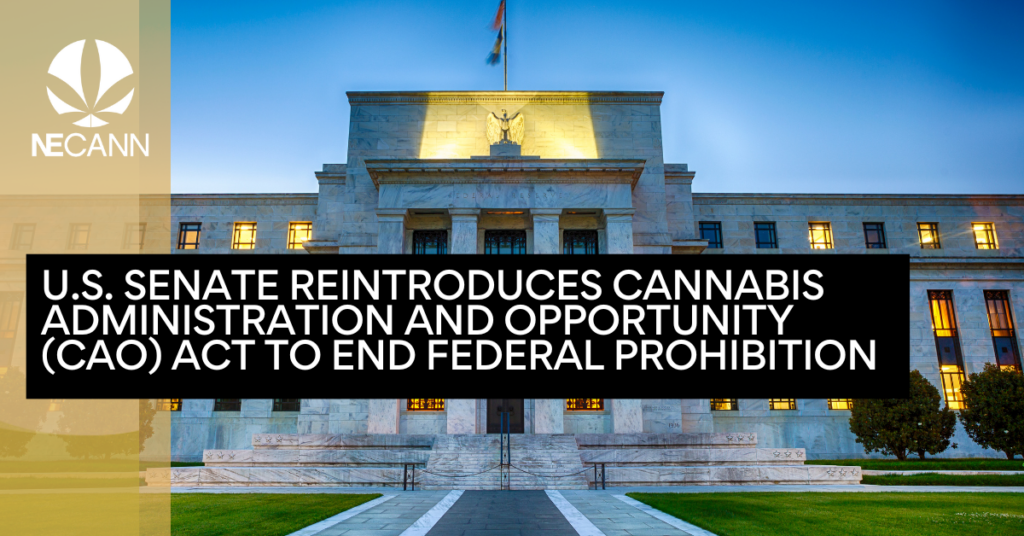 U.S. Senate Reintroduces Cannabis Administration and Opportunity (CAO) Act to End Federal Prohibition