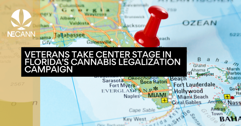 Veterans Take Center Stage in Florida's Cannabis Legalization Campaign