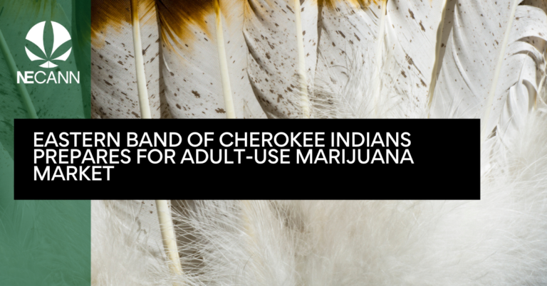 Eastern Band of Cherokee Indians Prepares for Adult-Use Marijuana Market