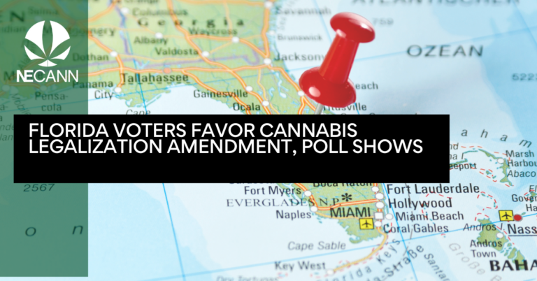 Florida Voters Favor Cannabis Legalization Amendment, Poll Shows