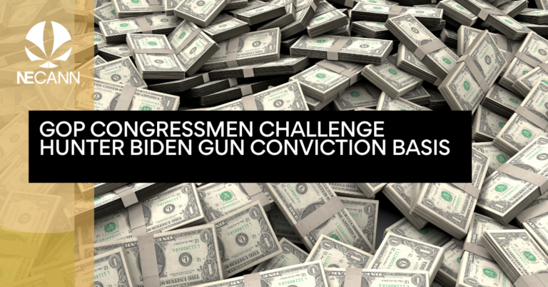 GOP Congressmen Challenge Hunter Biden Gun Conviction Basis