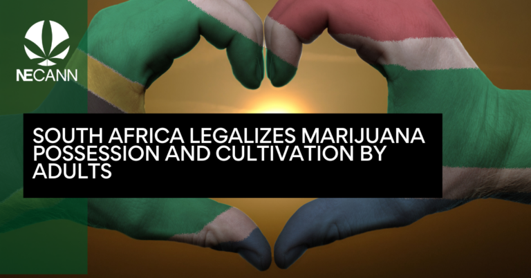 South Africa Legalizes Marijuana Possession and Cultivation by Adults