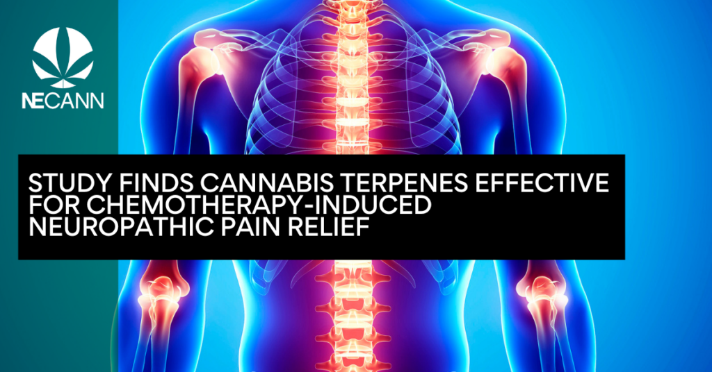 Study Finds Cannabis Terpenes Effective for Chemotherapy-Induced Neuropathic Pain Relief