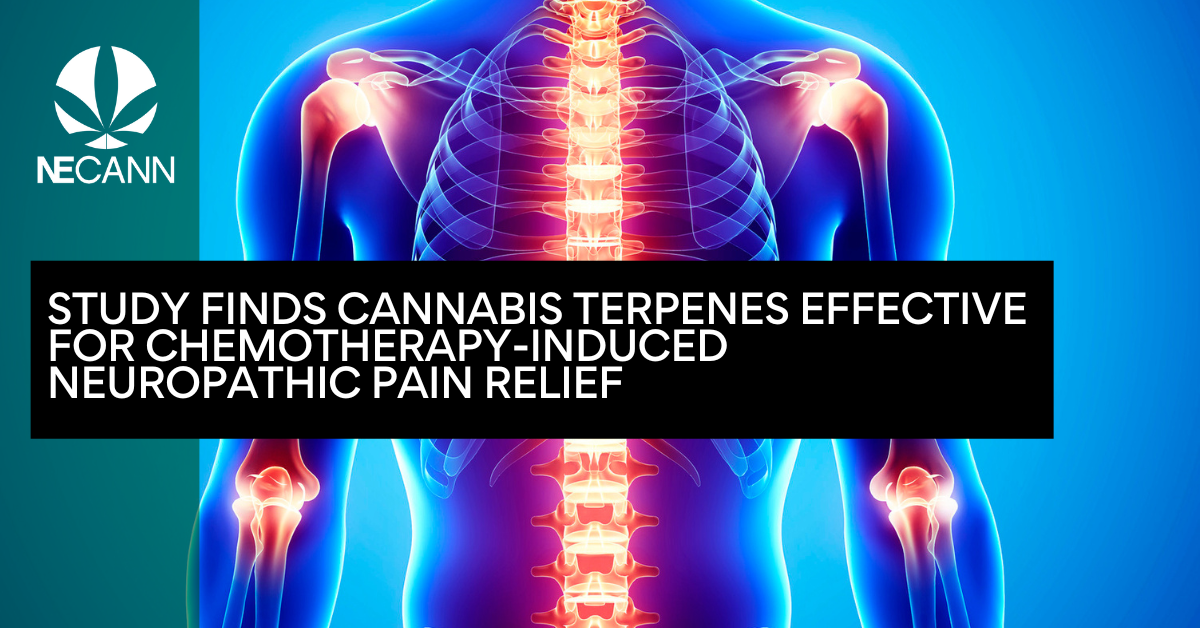 Cannabis Terpenes For Chemotherapy-Induced Relief | NECANN