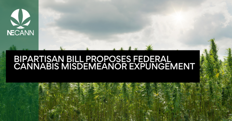 Bipartisan Bill Proposes Federal Cannabis Misdemeanor Expungement
