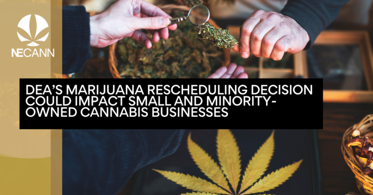 DEA’s Marijuana Rescheduling Decision Could Impact Small and Minority-Owned Cannabis Businesses