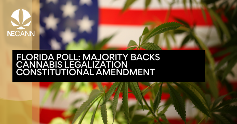 Florida Poll Majority Backs Cannabis Legalization Constitutional Amendment