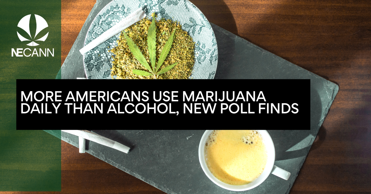 More Americans Use Marijuana Daily Than Alcohol NECANN