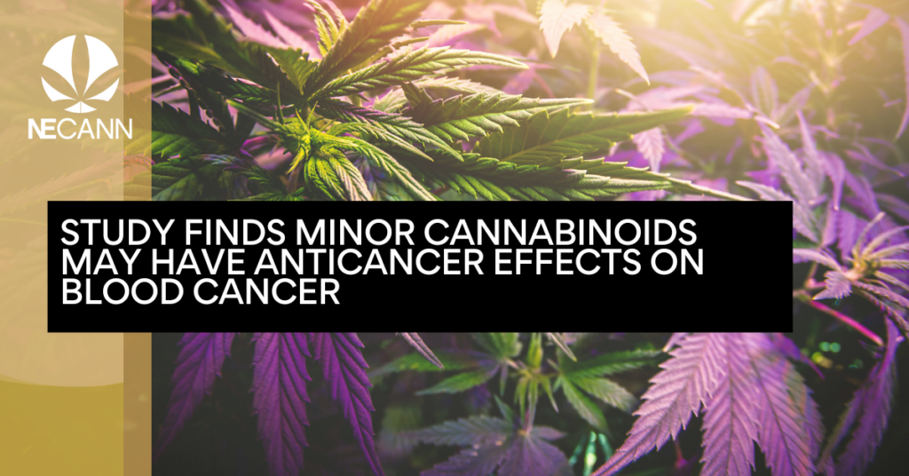 Study Finds Minor Cannabinoids May Have Anticancer Effects on Blood Cancer