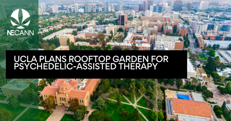 UCLA Plans Rooftop Garden for Psychedelic-Assisted Therapy
