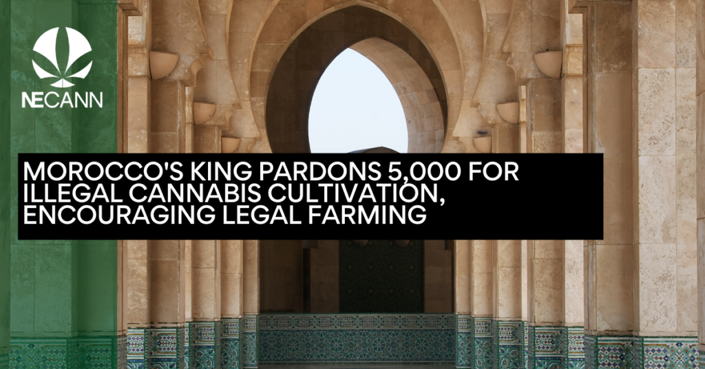 Morocco's King Pardons 5,000 for Illegal Cannabis Cultivation, Encouraging Legal Farming