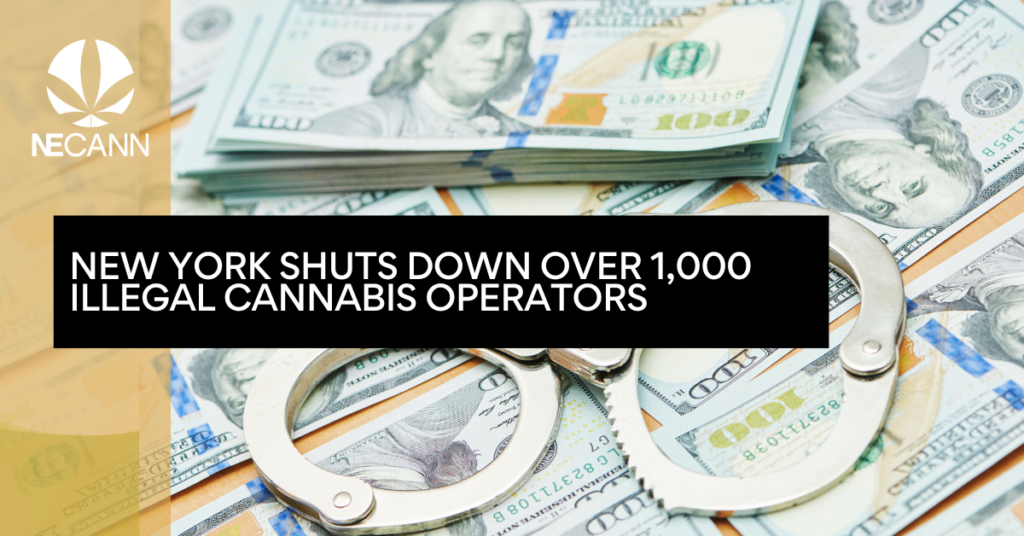 New York Shuts Down Over 1,000 Illegal Cannabis Operators