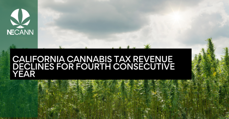 California Cannabis Tax Revenue Declines for Fourth Consecutive Year