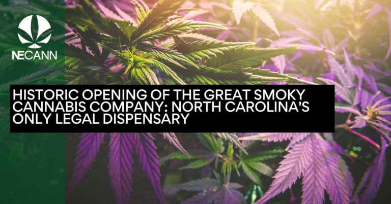 Historic Opening of The Great Smoky Cannabis Company North Carolina's Only Legal Dispensary