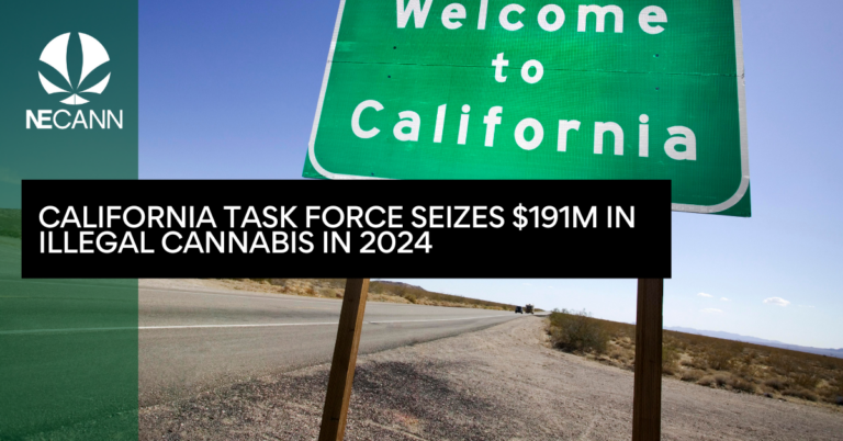 California Task Force Seizes $191M in Illegal Cannabis in 2024