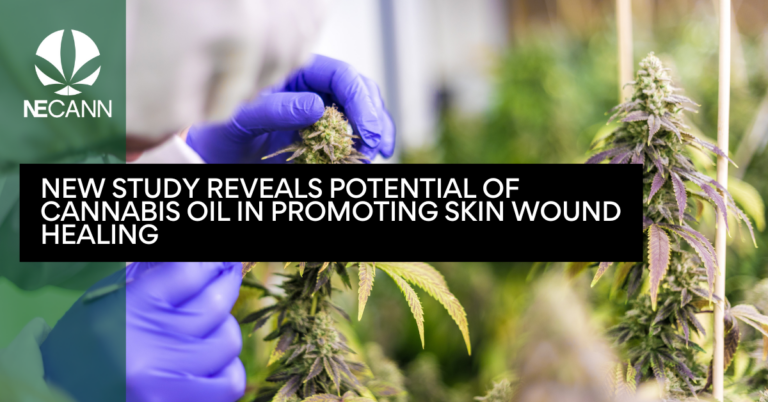 New Study Reveals Potential of Cannabis Oil in Promoting Skin Wound Healing