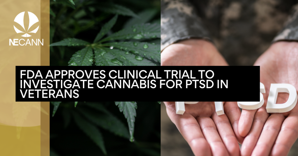 FDA Approves Clinical Trial to Investigate Cannabis for PTSD in Veterans