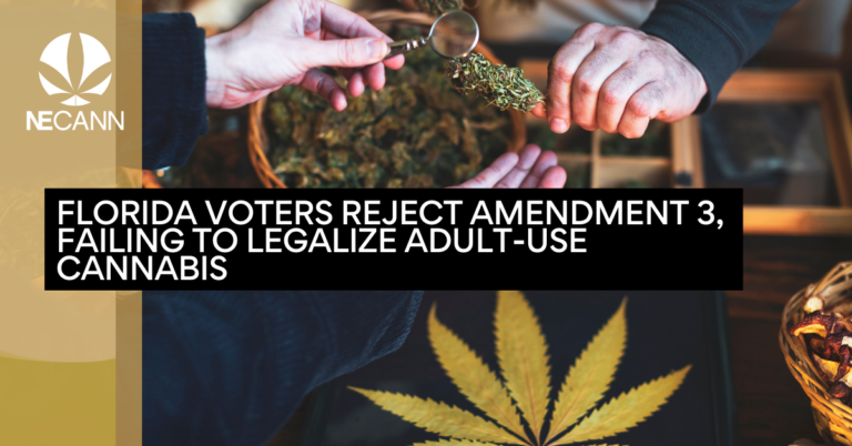 Florida Voters Reject Amendment 3, Failing to Legalize Adult-Use Cannabis